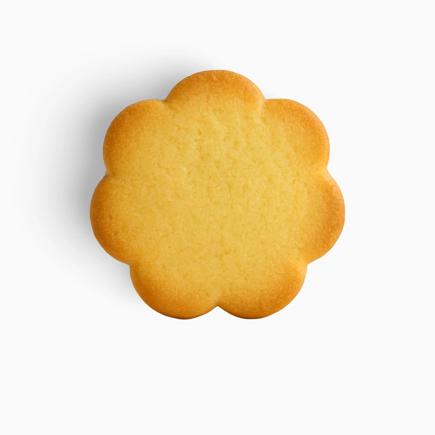 Standaard Zanddeeg Koekjes