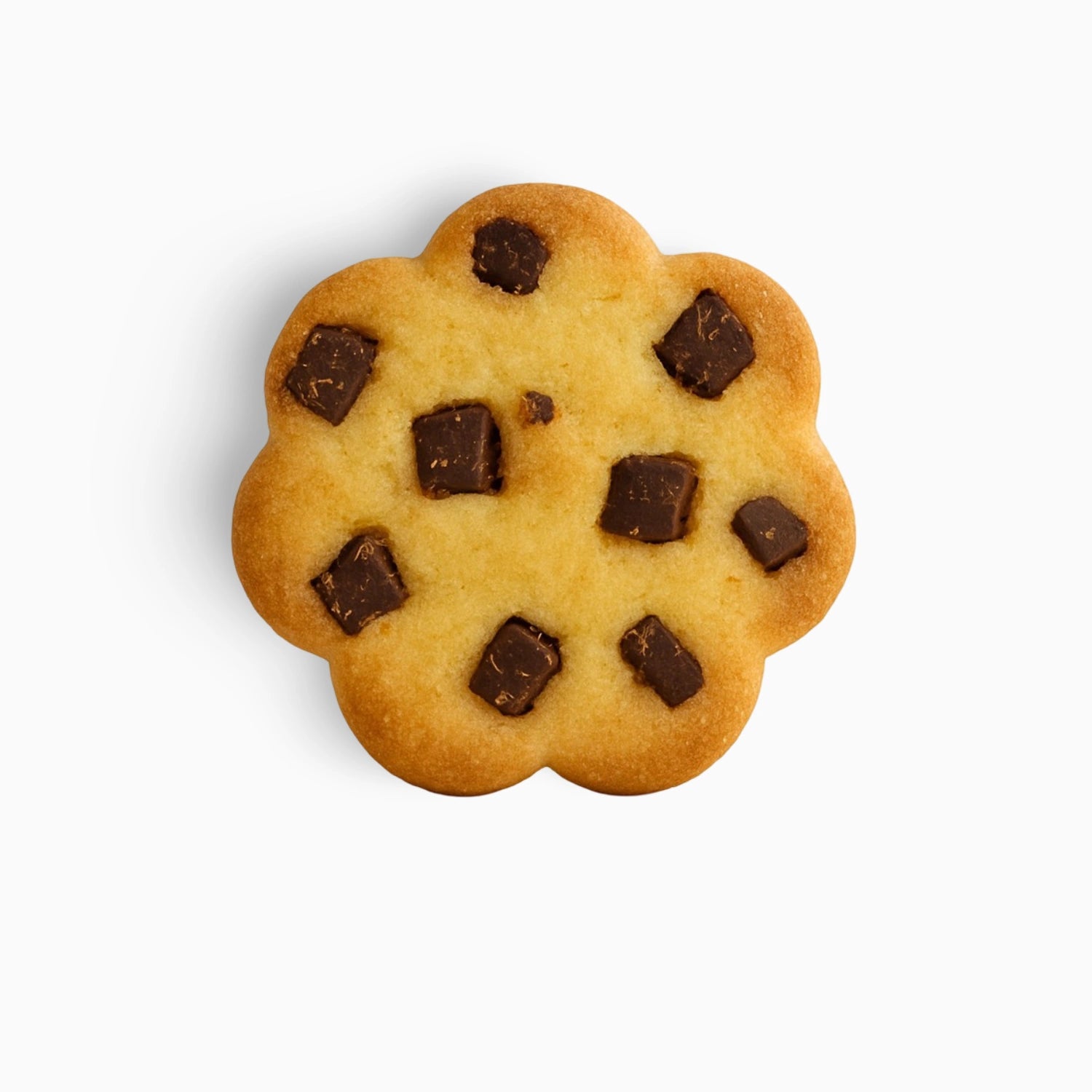 Standaard Zanddeeg Koekjes